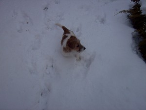 100_8404.jpg