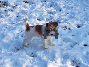 100_8547.jpg