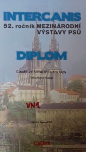 20180623_145051.jpg