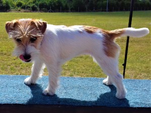 20180701_093913.jpg