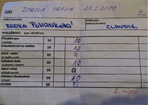 20190223_171026-1.jpg