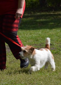 dsc_0113.jpg